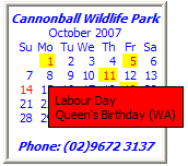 calendar with tooltip